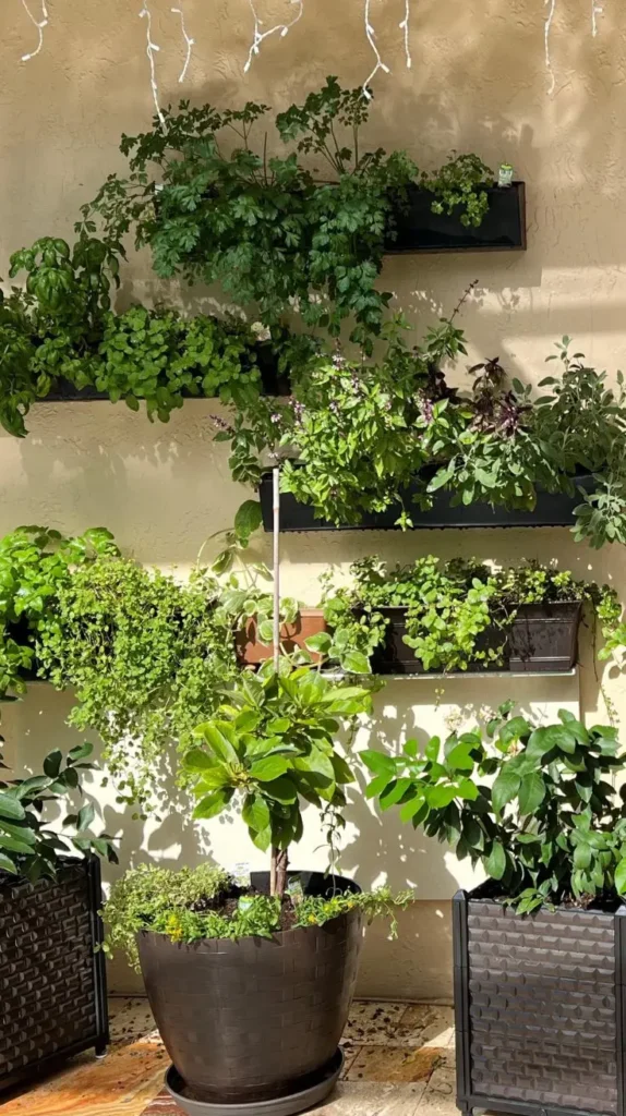 Small Back Porch Ideas to Transform Your Outdoor Space

