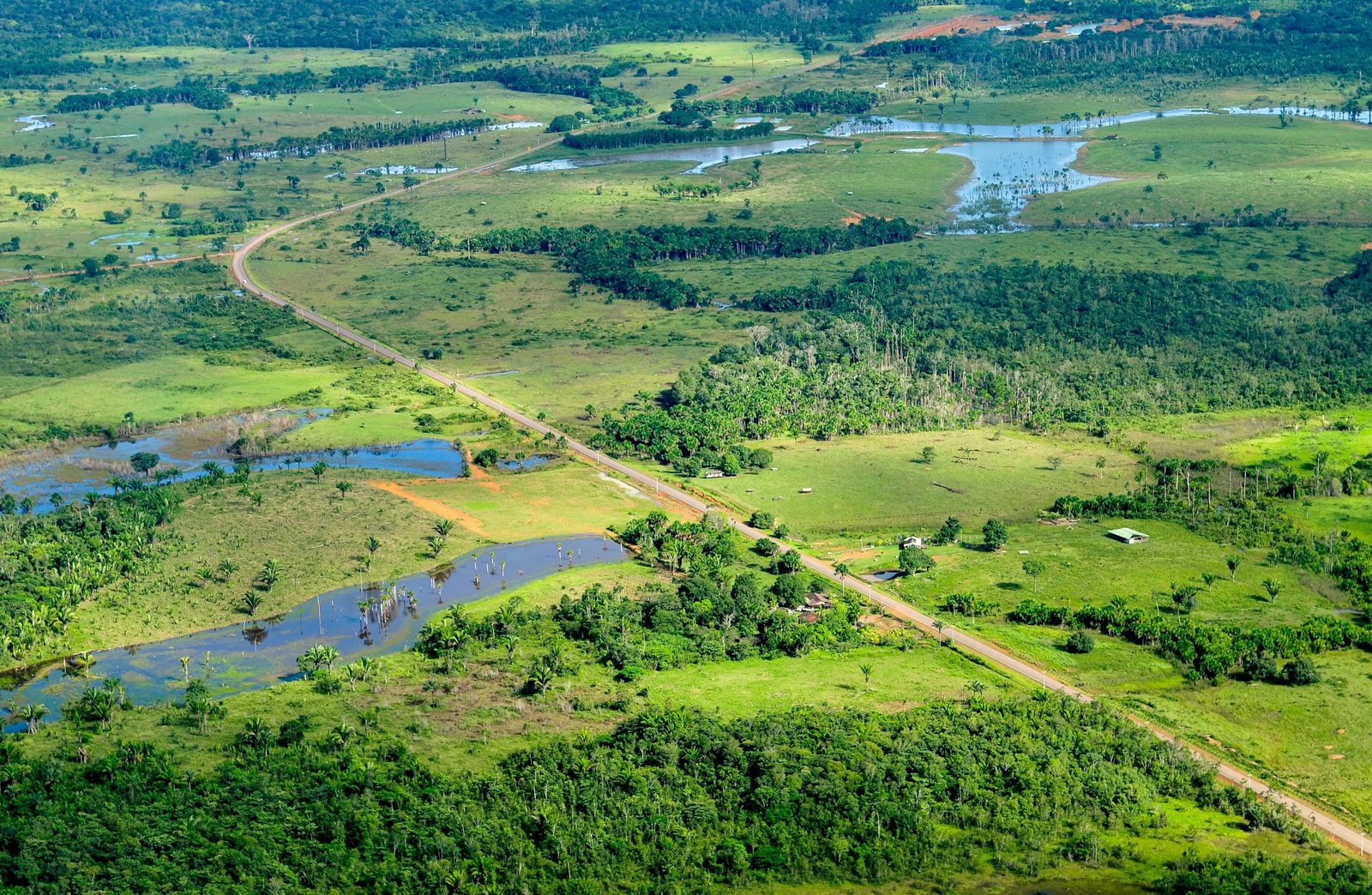 An aerial view of green fields and forest