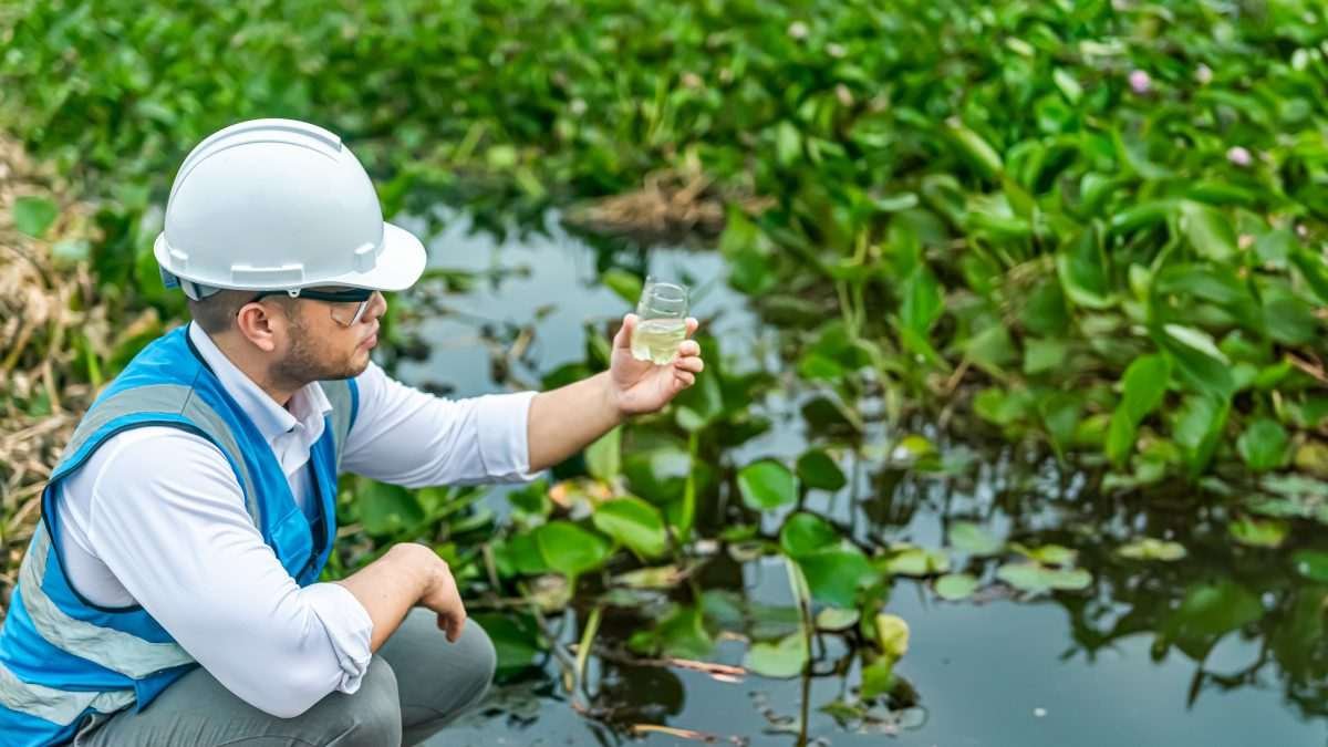 a biologist sitting at a lakeside examining a water sample, while the lake surface is alive with green aquatic plants