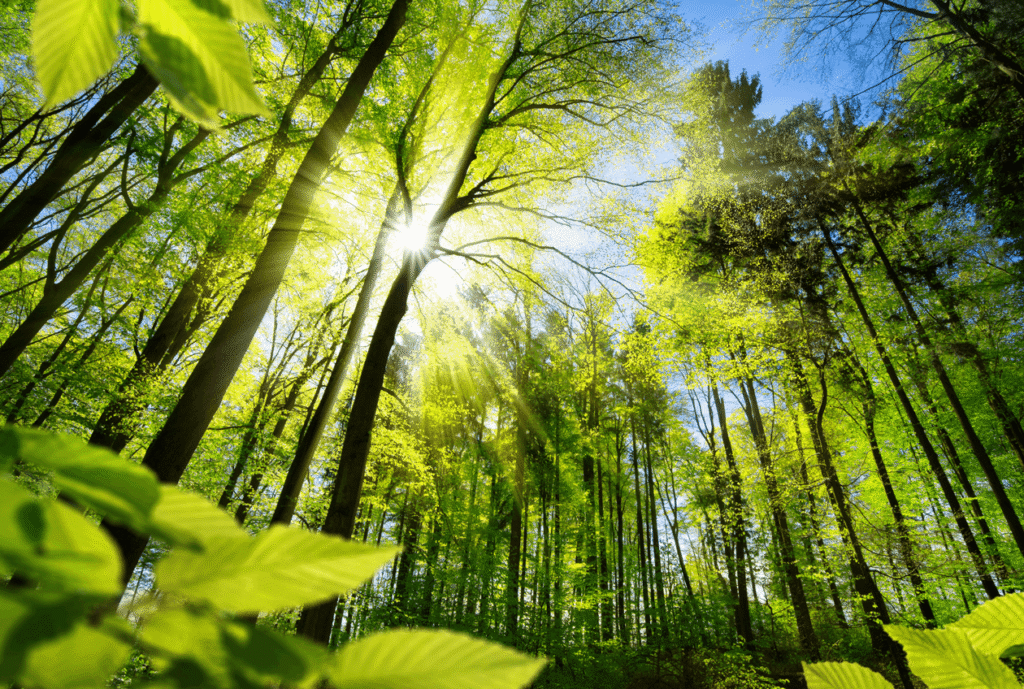 svante packaging press release post