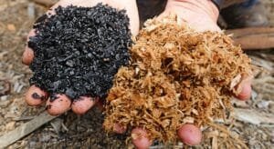 biochar