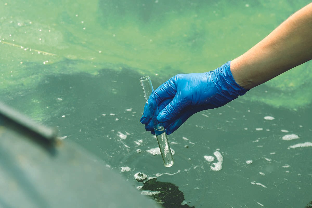 A laboratory-gloved hand holds a test tube close to the surface of a body of water, green-blue in colour