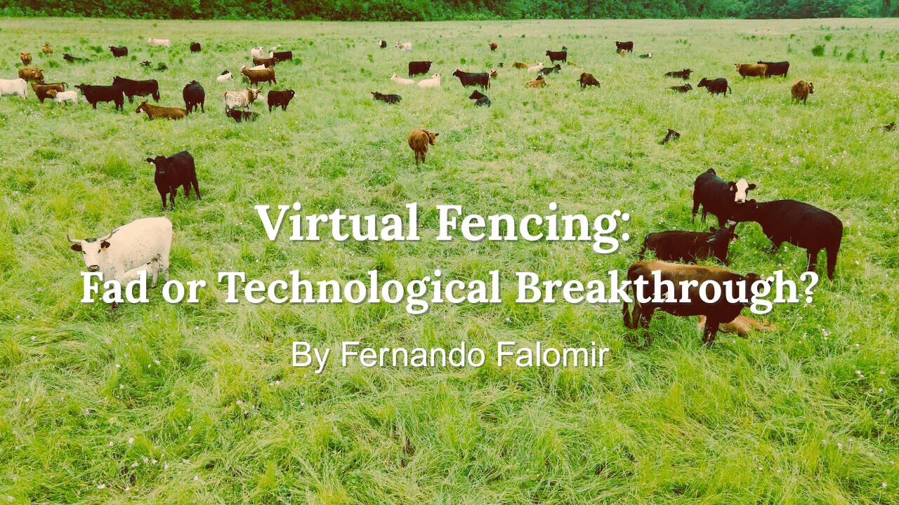 Virtual Fencing Fad or Technological Breakthrough