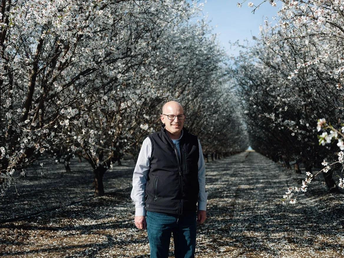 A bald man stands in the middle of rows of blooming trees