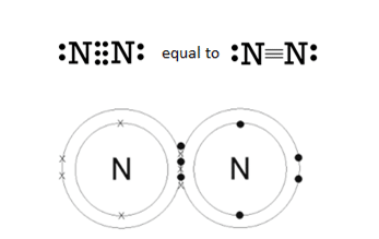 Nitrongen atoms