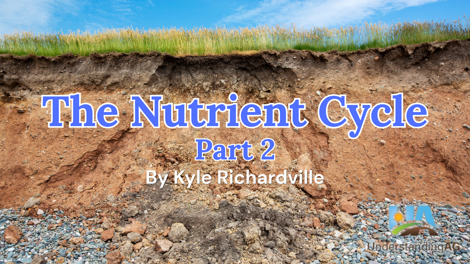 The Nutrient Cycle (2)