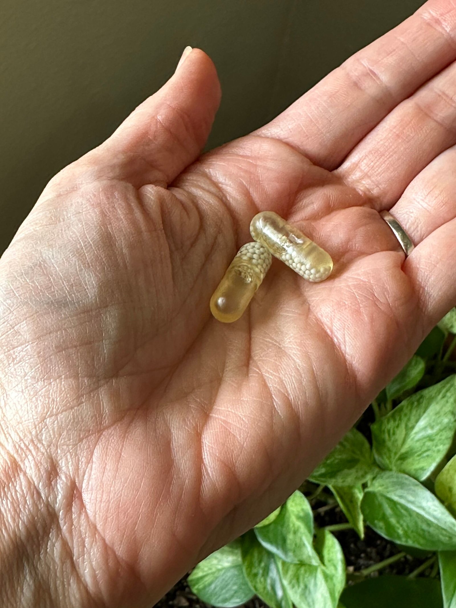 A hand holding two clear capsules, shown above a green leafy plant.