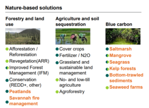 Africa Nature-based solutions
