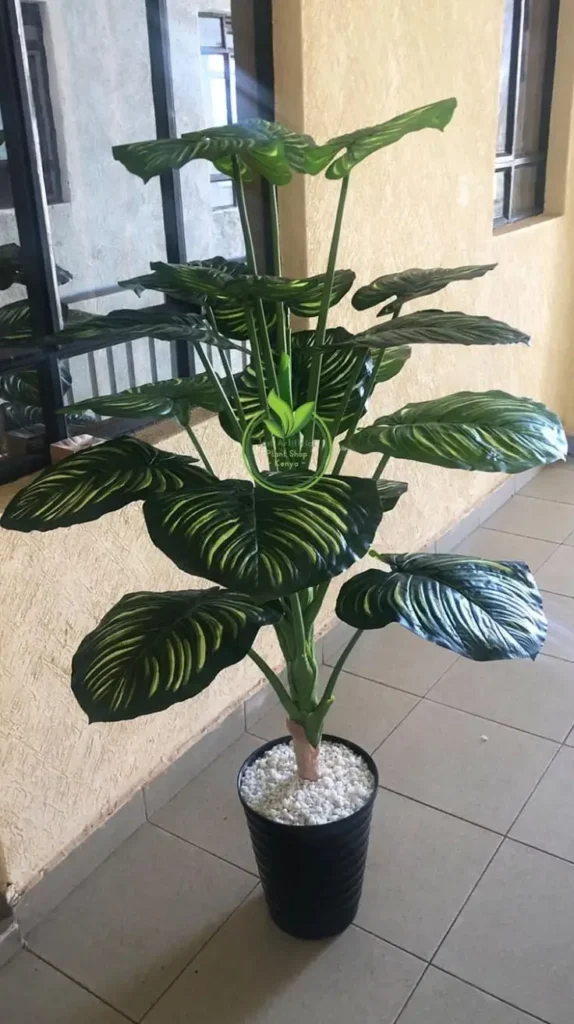 Amazon Home Decor Finds That Instantly Transform Any Space

