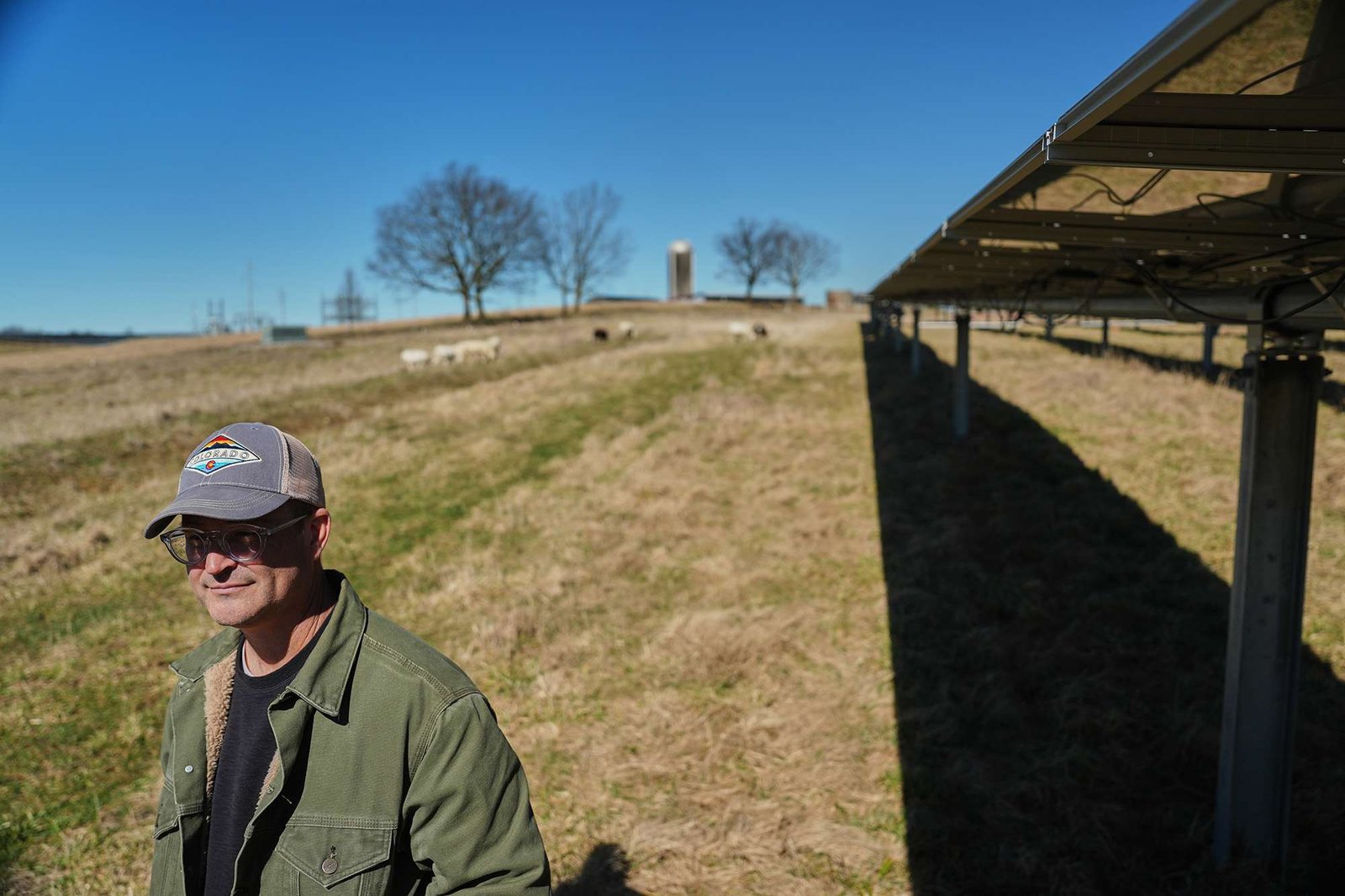 Daniel Bell, wearing a cap and green jacket, walks across a field alongside a row of solar panels.