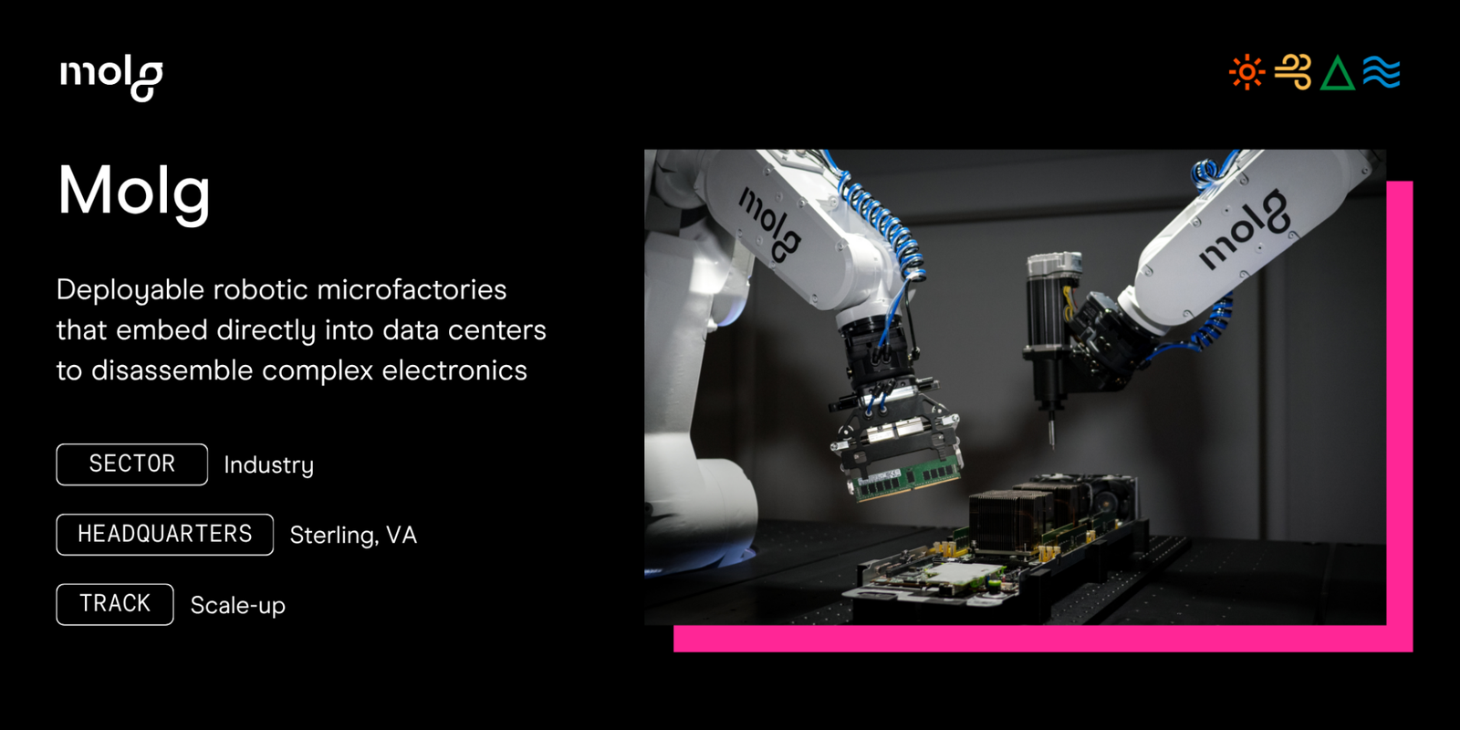 Why we're investing in Molg