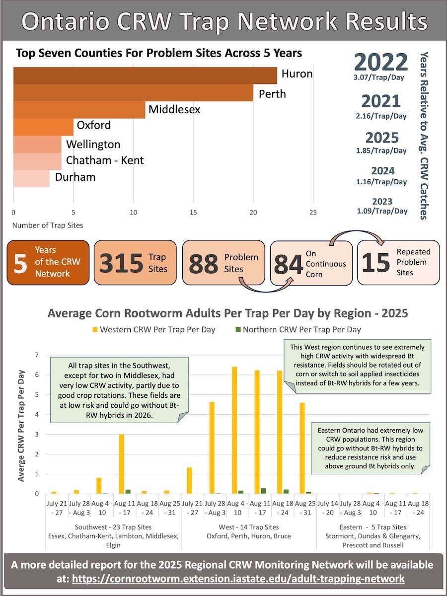 Corn rootworm trap network 2025 lessons. Photo: Courtesy Tracey Baute