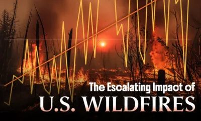 Preview of a line chart with trendline showing the escalating damage of wildfires in the U.S., using data from the National Interagency Fire Center