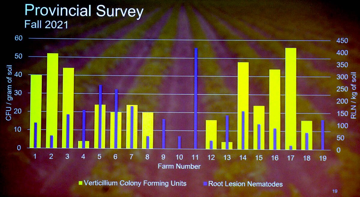 Research result graphs from Griffen Bailey's Potato Early Dying (PED) research performed across Ontario and at the Simcoe Research Station from 2021 to 2023. 