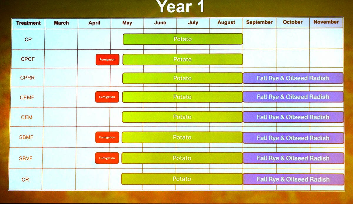 Research result graphs from Griffen Bailey's Potato Early Dying (PED) research performed across Ontario and at the Simcoe Research Station from 2021 to 2023. 
