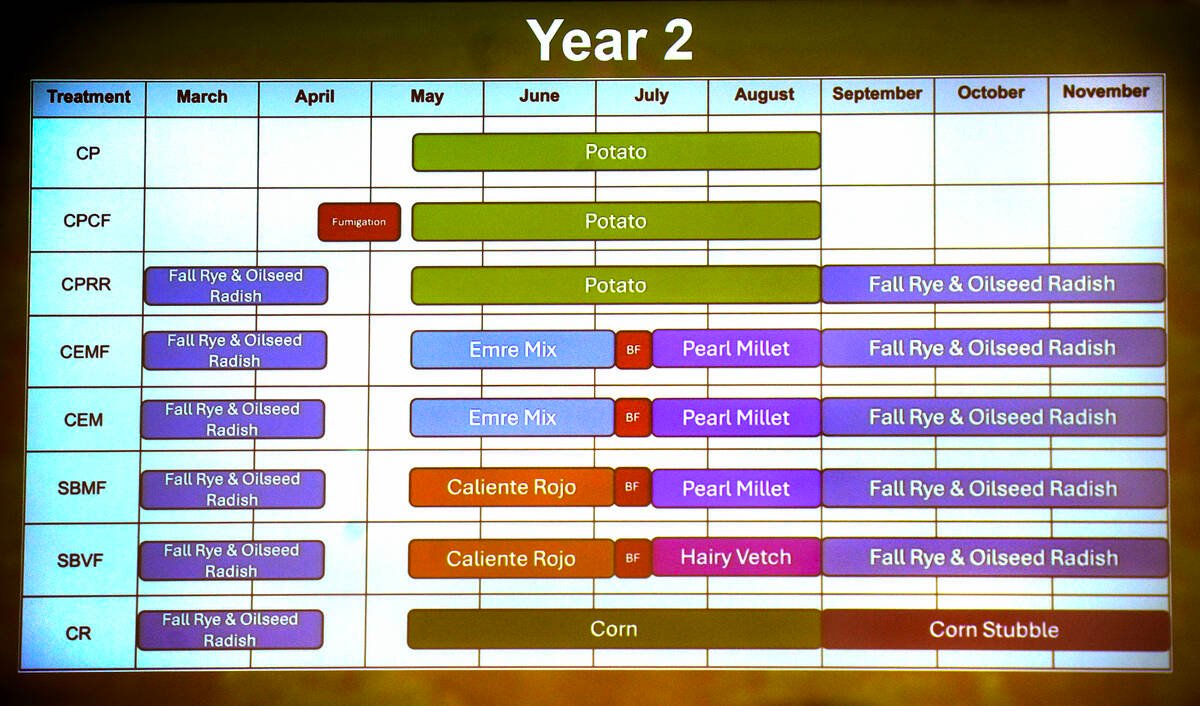 Research result graphs from Griffen Bailey's Potato Early Dying (PED) research performed across Ontario and at the Simcoe Research Station from 2021 to 2023. 