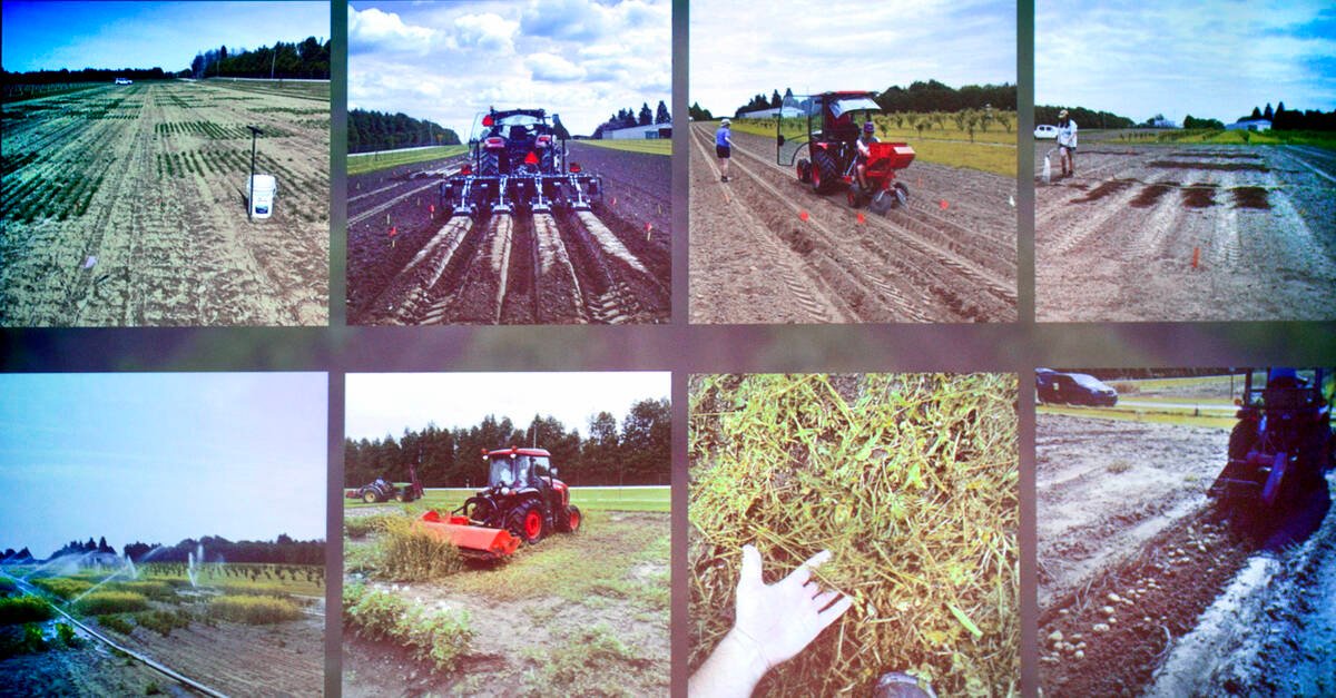 A photo summary of the PED plot research by Griffin Bailey at the Simcoe Research Station from 2021 to 2023. 
