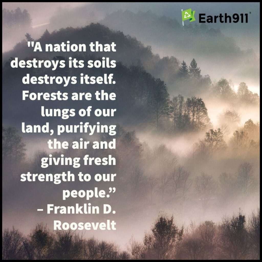 Forests are the lungs of our land ...