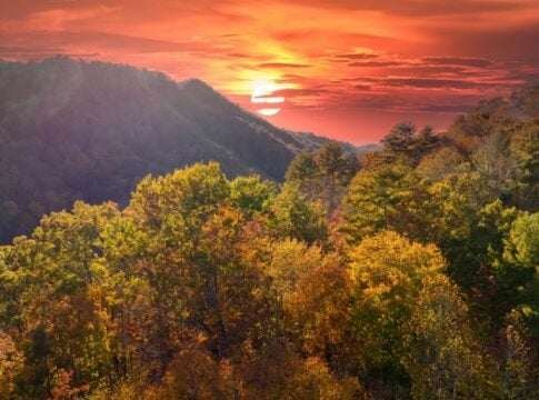 Google, Meta and McKinsey Lead Carbon Removal Boom and Turn Appalachia Green