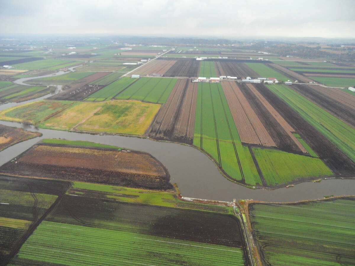 Areas like the Holland Marsh have increasingly tight regulations regarding septic and other infrastructure design approvals. Photo: Submitted