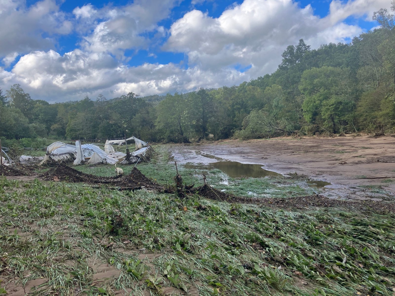 Nicole DelCogliano’s farm near Asheville, North Carolina, was wiped out almost entirely by floods from Hurricane Helene in 2024.