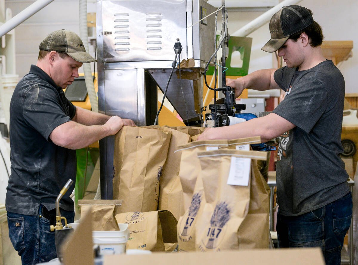 1847 Stone Milling co-owner Tyler McKeown, left, and miller, Jesse Eby, right, package and seal bags of hard red spring wheat organic flour. Photo: Diana Martin