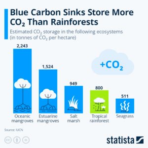 blue carbon sequestration