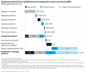 blue carbon abatement potential by 2050