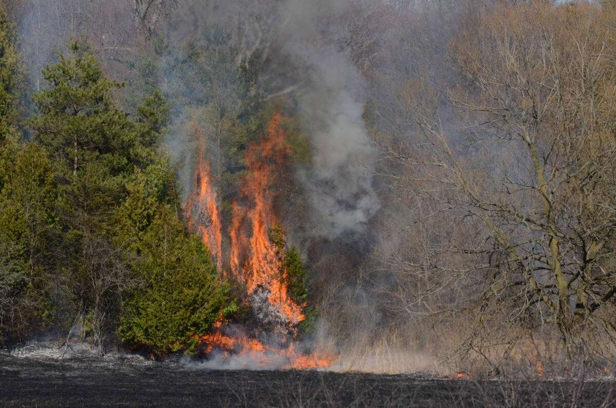The makers of Eco-Gel are aiming for wider provincial uptake in wildfire suppression. Photo: Bob Hilscher/iStock/Getty Images