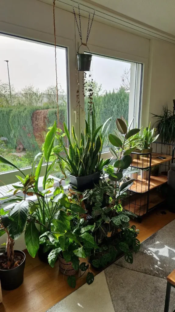 Rental Home Decorating Ideas