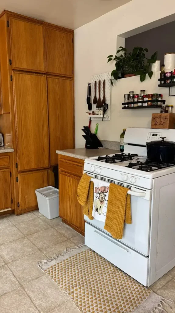 Rental Home Decorating Ideas