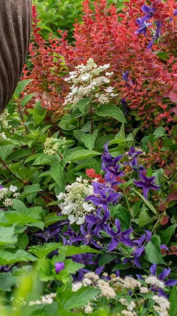 Secret Garden Ideas Secret Garden Ideas