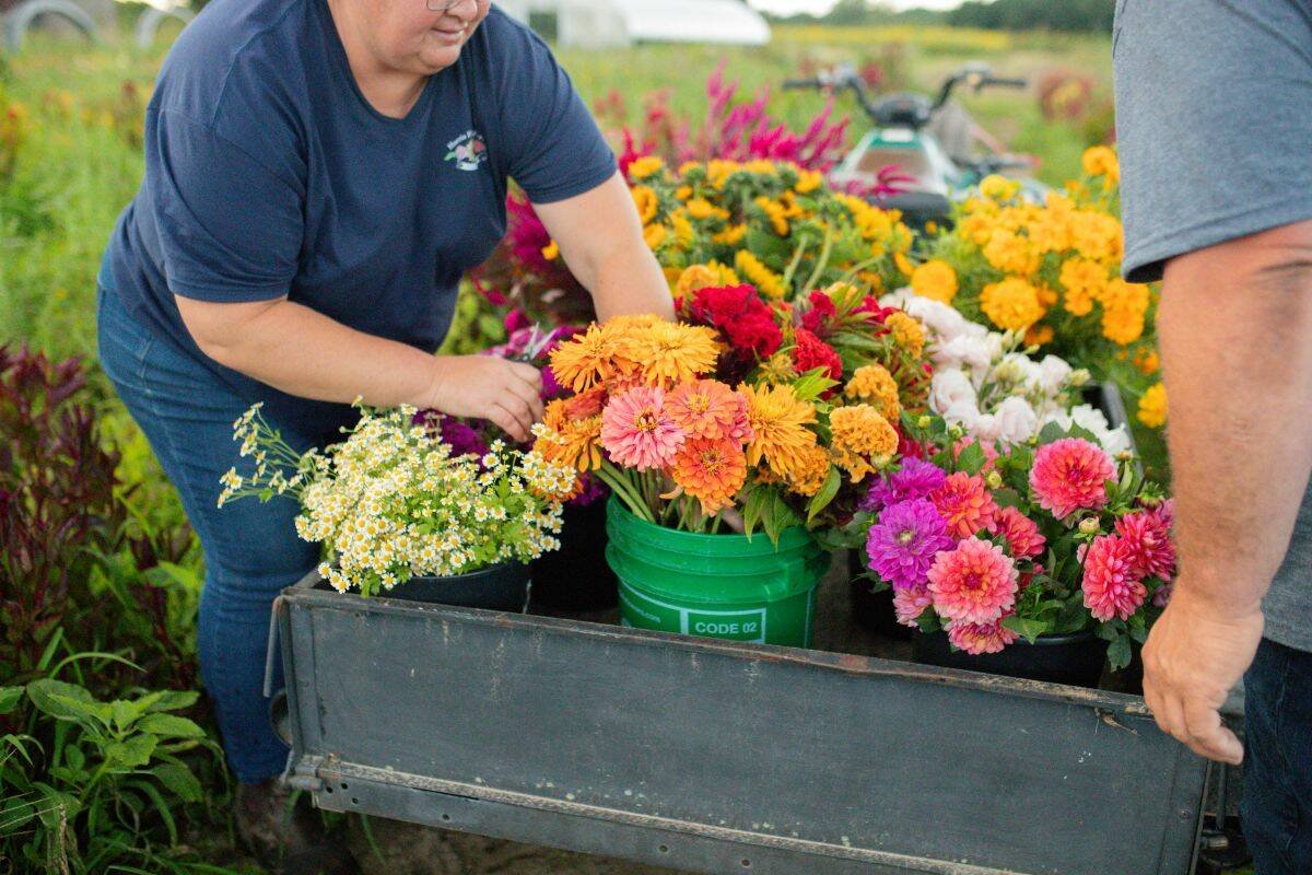 E-commerce today represents 25 per cent of the Harris farm’s business. Photo: Erin Grace Photography Erin Grace Photography