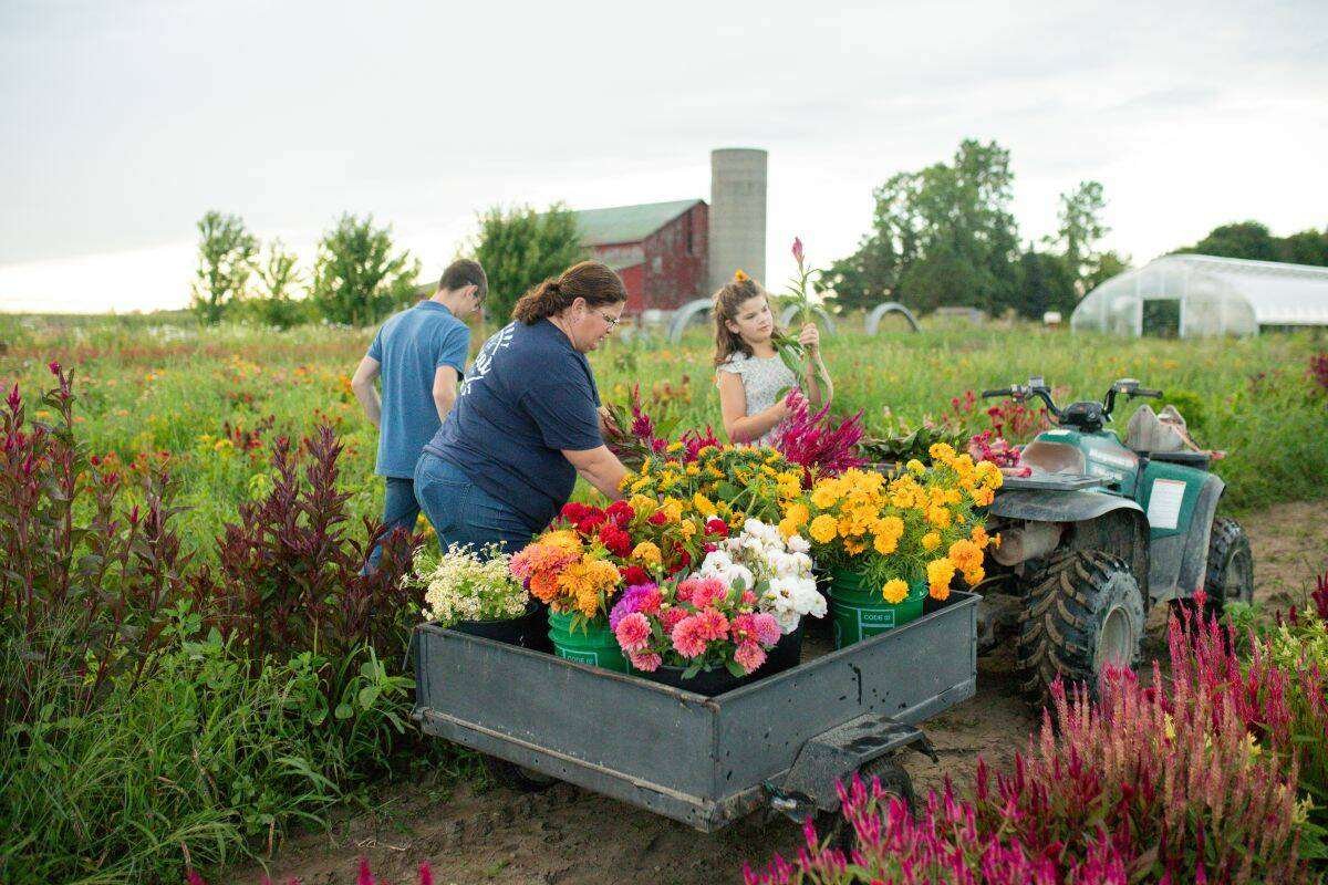 Before the COVID-19 pandemic, the Harris farm sold most of its flowers through an on-farm flower cart as well as at roadside stands and local farmers markets. Photo: Erin Grace Photography Erin Grace Photography