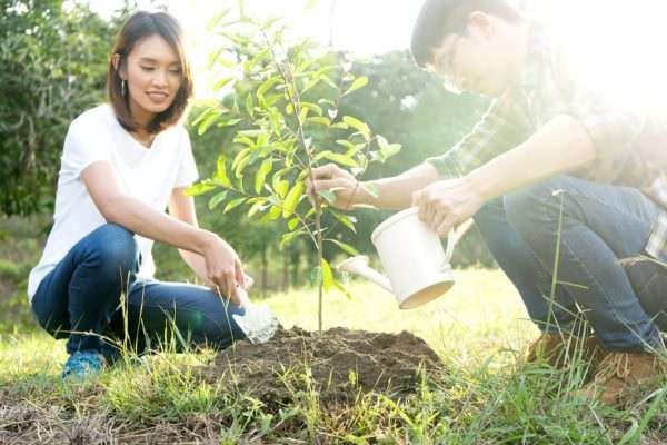 young man and woman plant a tree