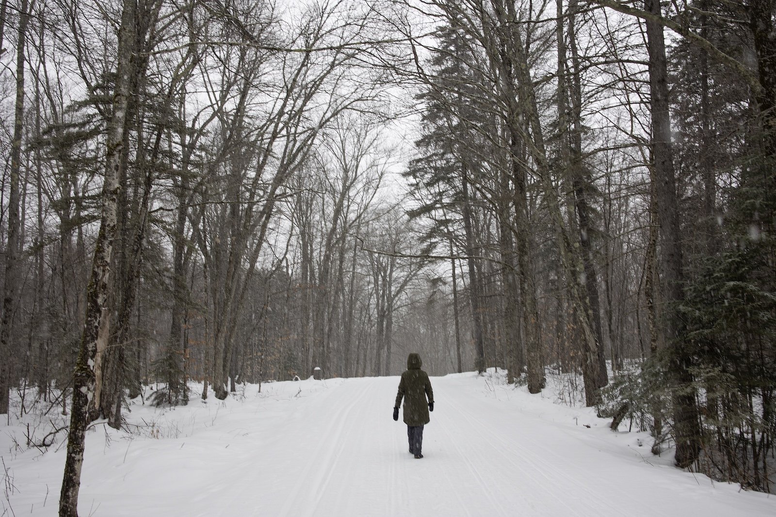 a hooded figure walks through snowy woods on a hike