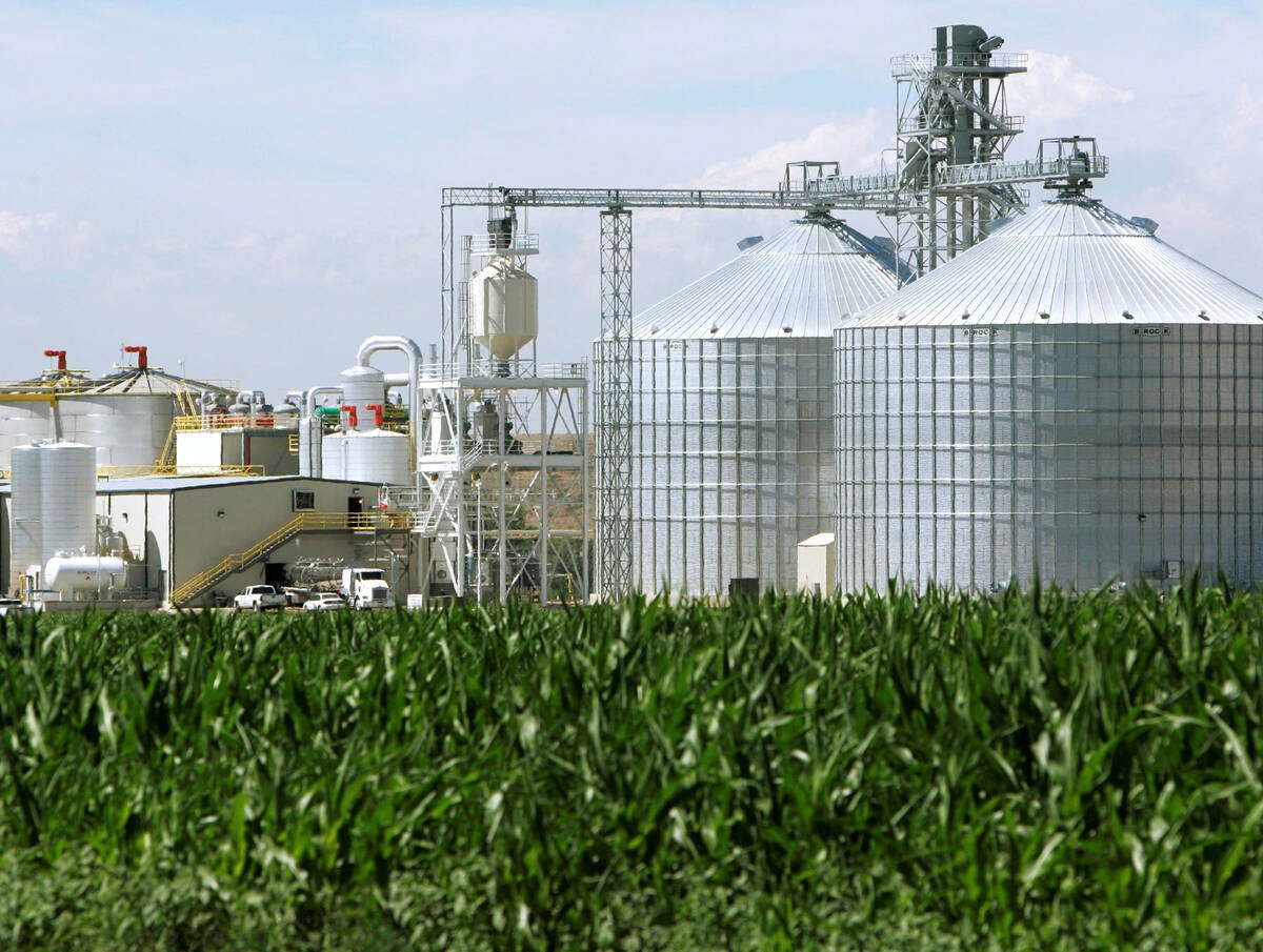 A corn-based ethanol plant with grain storage silos rising above a cornfield in Windsor, Co. Photo: Reuters