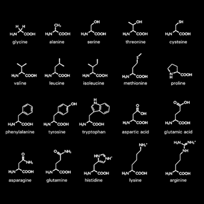 Amino Chains