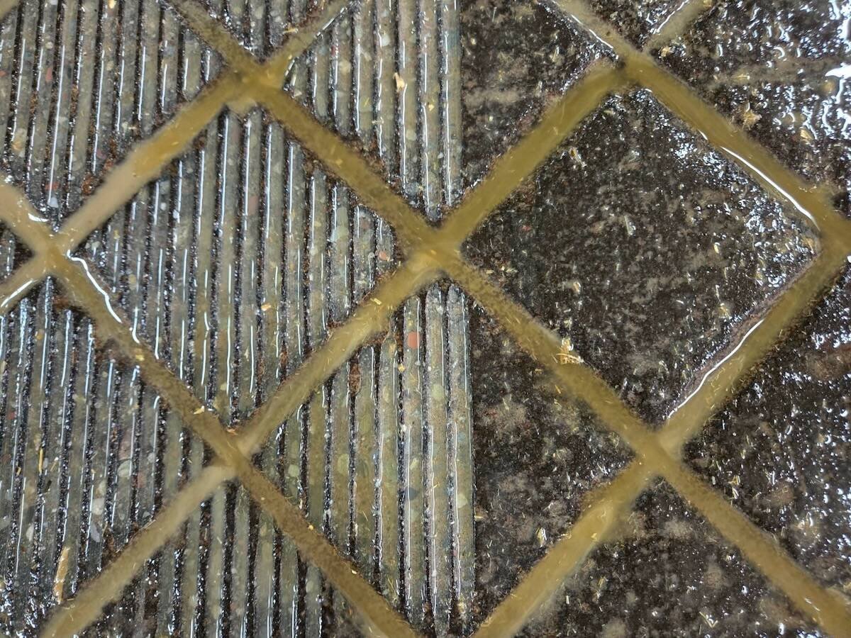 Traction Plus