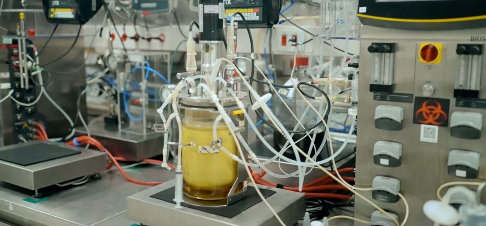 Amyris R&D facility. Image credit: Amyris