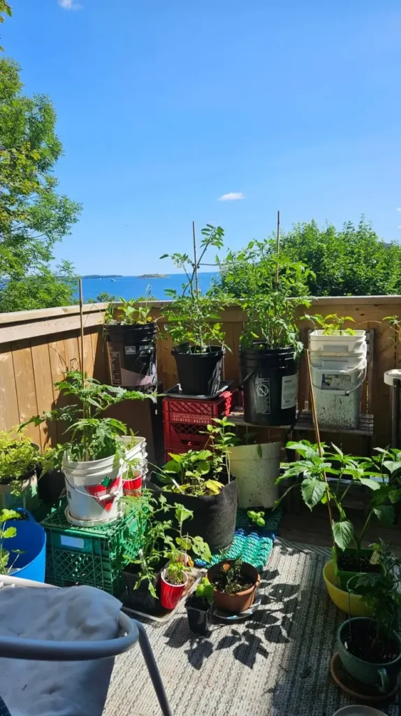 Back Deck Decorating Ideas