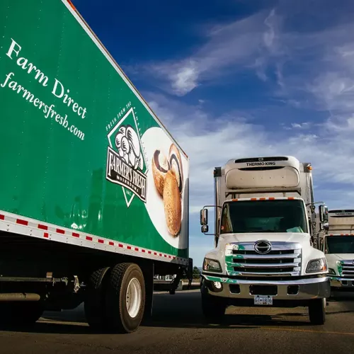 Farmers' Fresh refrigerated delivery trucks parked under a blue sky. Photo: Farmers Fresh Mushrooms Inc.