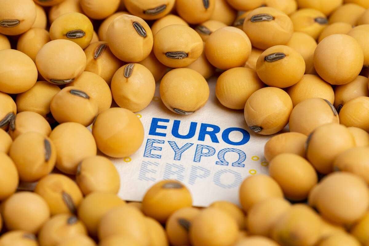 The EU proposes to halt the use of soybeans in the production of biofuels, ostensibly to limit environmental degradation from indirect land use changes. Photo: JJ Gouin/iStock/Getty Images