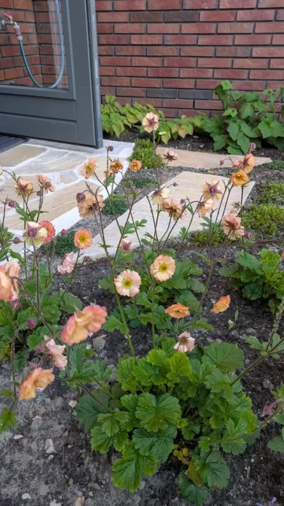 Flower Bed Ideas in Front of House 