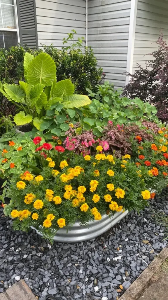 Flower Bed Ideas in Front of House 