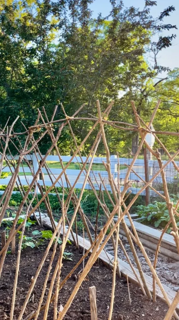 Homemade Trellis Ideas