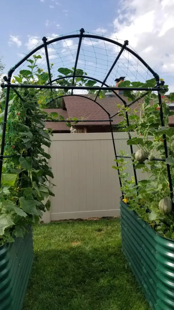 Homemade Trellis Ideas