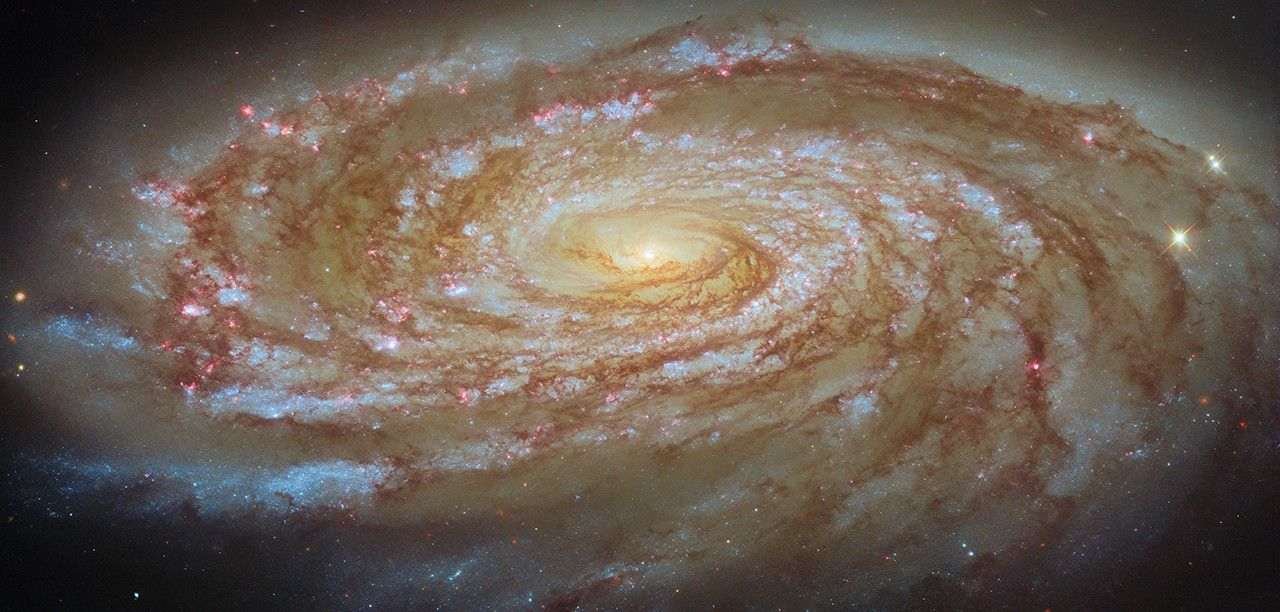A large spiral galaxy. It is seen tilted at an angle, so that it is foreshortened and appears very wide. Its tightly-wound, blue spiral arms swirl out from its glowing center, spreading apart at the tips. They are followed by strands and clumps of dark red dust and spotted with pink dots where stars are forming in clouds of gas. The galaxy is surrounded by a slight glow and lies on a dark background.