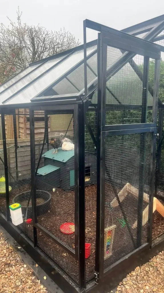 Low Budget Chicken Coop Ideas