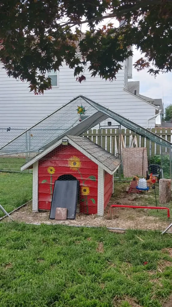 Low Budget Chicken Coop Ideas